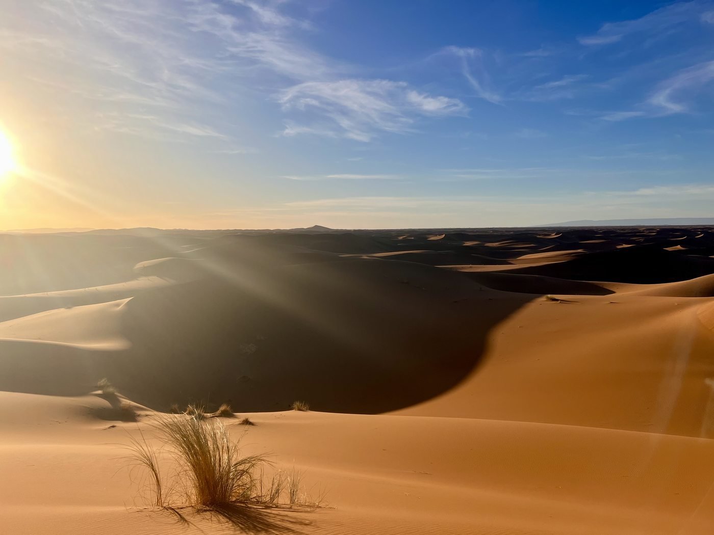 Dünen mit Wüstengras im Licht