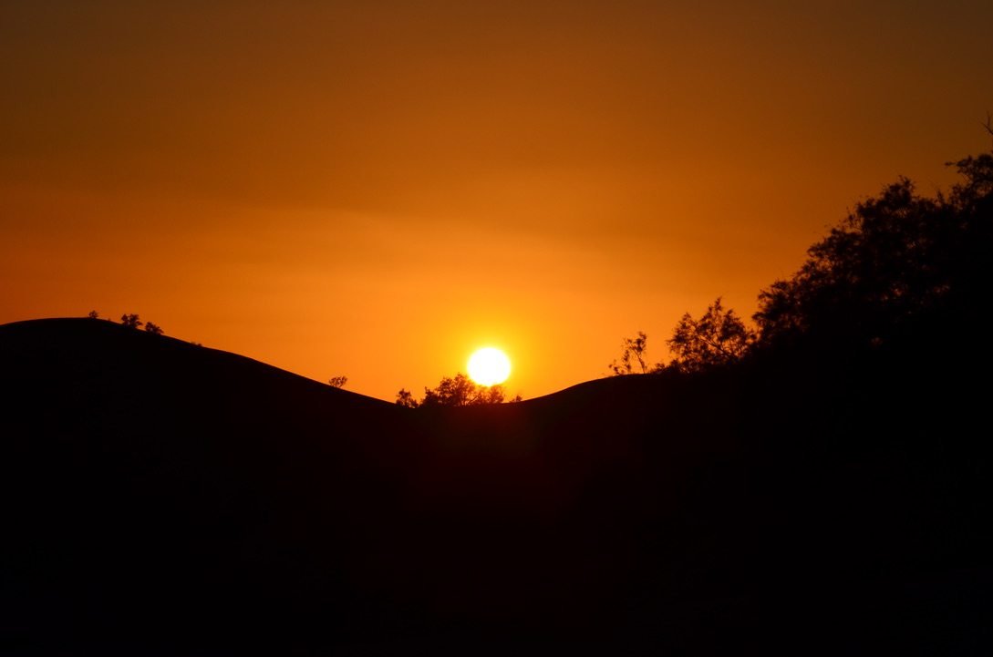 Sonnenuntergang als Silhouette