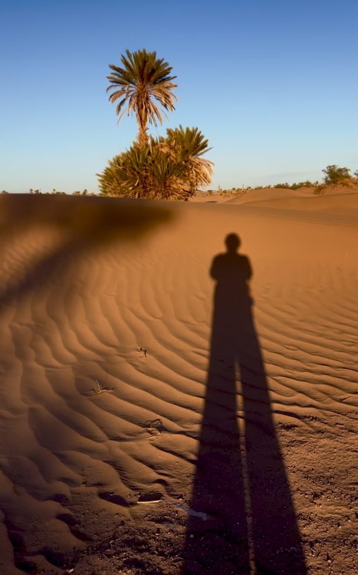 Langer Schatten vor der Palme