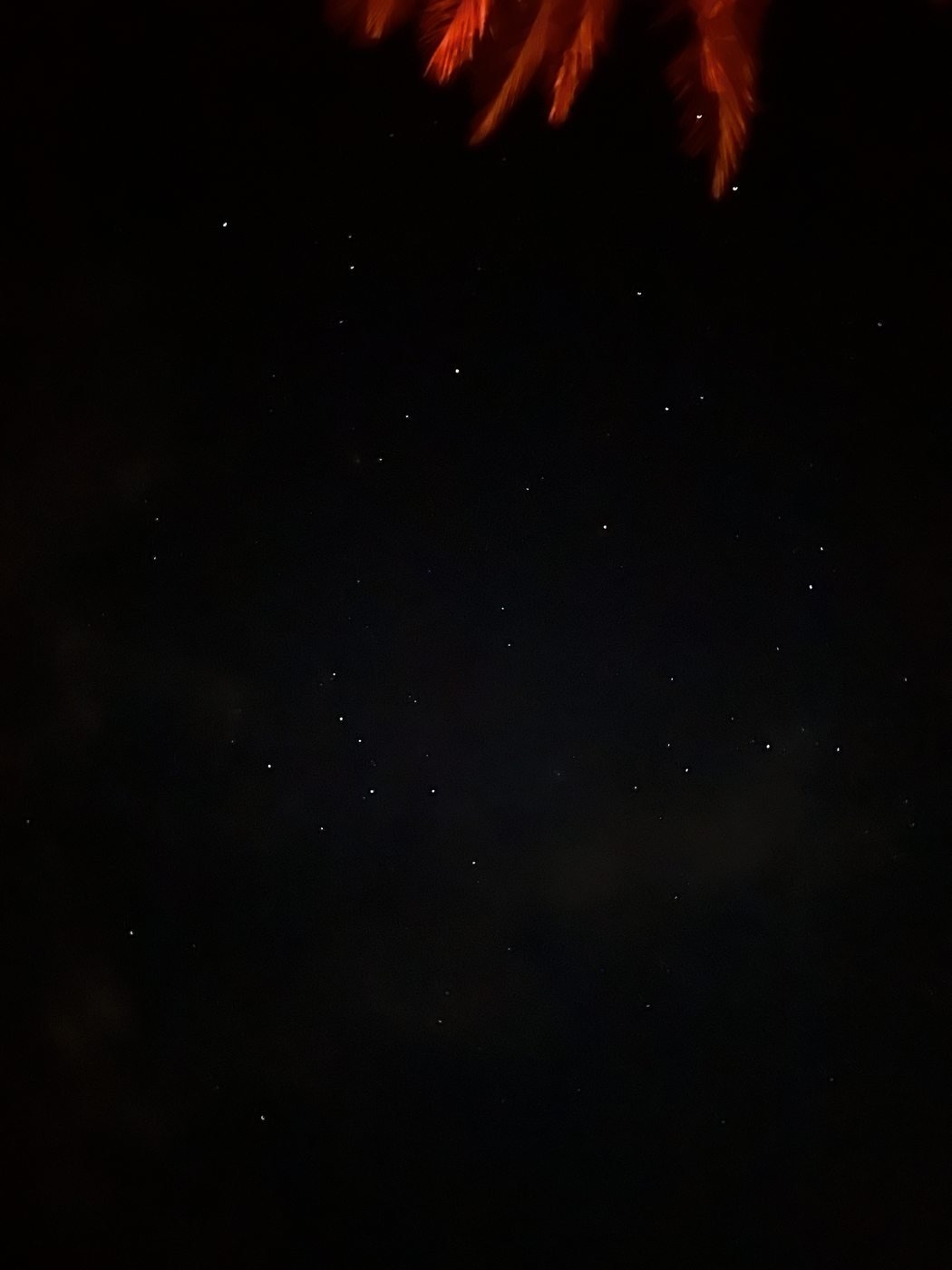 Sternenhimmel über der Wüste